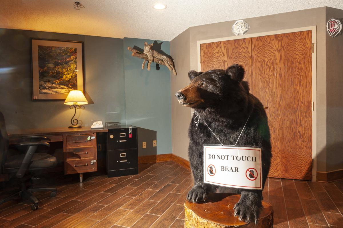 DeGray Lake Resort State Park Escape Room Arkansas State Parks